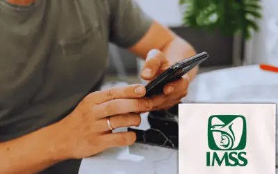 IMSS: Cómo descargar la vigencia de derechos desde tu celular en minutos