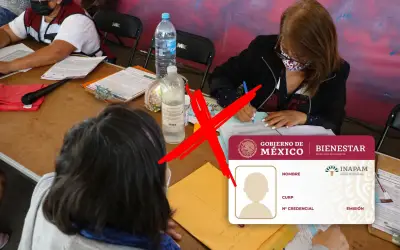 INAPAM 2026: Quiénes NO deben renovar su tarjeta y cómo evitar fraudes