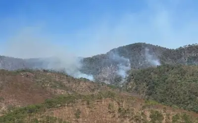 Incendio en Mascota, Jalisco: tres días activo con más de 100 brigadistas