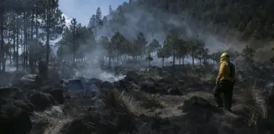 Incendios forestales y ozono: combinación letal para la salud en el Valle de México
