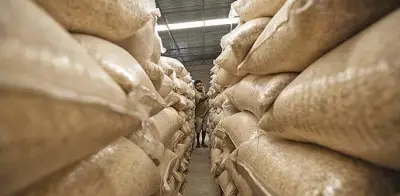 Industriales descartan incremento en precio de la tortilla y llaman a verificar información