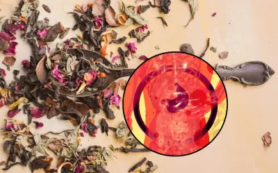 Infusiones naturales para regenerar el hígado dañado por el alcohol: una guía completa