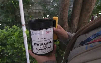 Jalisco intensifica vigilancia contra el dengue con 15 mil ovitrampas y 18 casos registrados