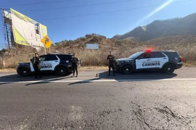 Jalisco mantiene vigilancia tras captura de El Jardinero