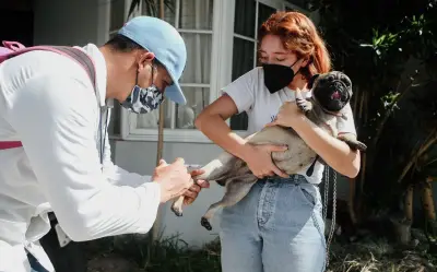 Jalisco ofrece jornada de salud gratuita para mascotas en Guadalajara