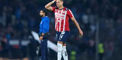 Javier Hernández aclara su futuro: 