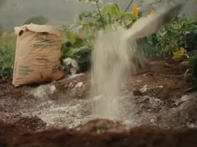 La cal hidratada: aliada esencial en salud pública y crecimiento económico de México