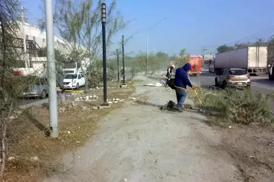 Limpia Santa Catarina parque tras denuncias de abandono