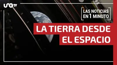 Operativo en Sonora: Aseguran Invernadero Ilegal de Marihuana con 221 Plantas