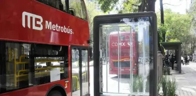 Organizaciones exigen transparencia en licitación de parabuses de Metrobús Línea 7 en CDMX