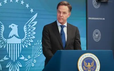 OTAN defiende respaldo casi total a EU en guerra con Irán, pese a críticas de Trump