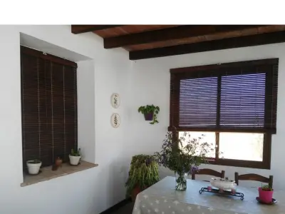 Persianas alicantinas: el invento del XIX que conquista Europa