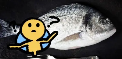 Pescado 'falso' en México: Sustitución de especies afecta consumidores y pescadores