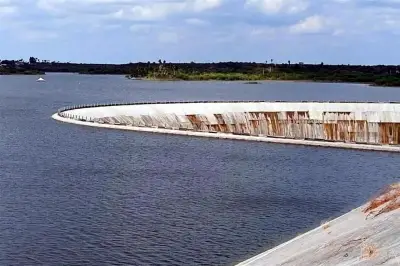 Piden a expertos ante presión de EU en T-MEC