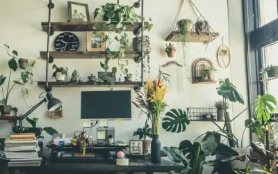 Plantas que combaten la humedad en casa: una solución natural para la salud respiratoria