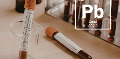 Plomo en la sangre: ¿Es normal tenerlo y cuál es el nivel seguro?