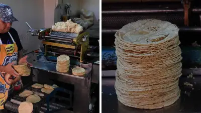 Precio de la tortilla se dispara 72.5% desde 2018: un golpe a la economía familiar