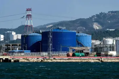 Precios del petróleo WTI se disparan más del 11% en un solo día