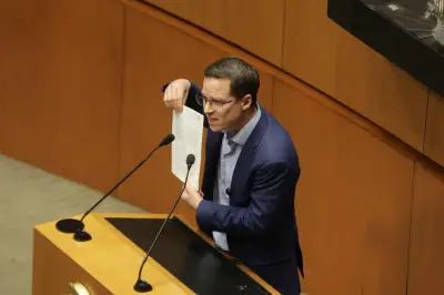 Ricardo Anaya exige que Rocha Moya comparezca por acusación de narcotráfico