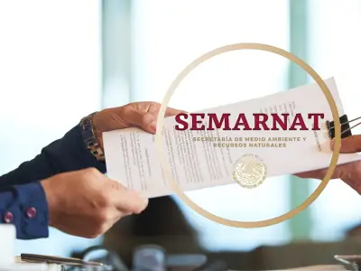 Semarnat simplifica trámites ambientales: fusiona procesos y reduce tiempos