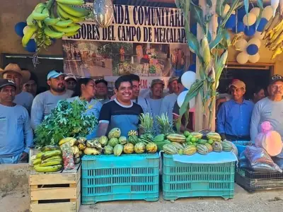 Sembrando Vida consolida red de casi 4 mil tianguis campesinos y 50 puntos de venta en 2025
