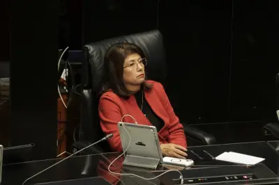 Senadora de Morena admite haber ordenado sacrificio de 10 mil perros en Tecámac