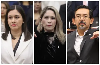 Taddei celebra nueva etapa en el INE con llegada de consejeros afines a Morena