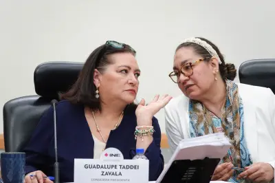 Taddei oficializa nombramientos de sus cercanos en el INE con nuevos consejeros