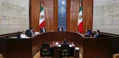 TEPJF ratifica lista de 100 aspirantes al INE y rechaza reclamos por exclusión