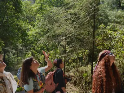 TierraFest 2024: Un Festival de Esperanza y Acción Climática en la CDMX