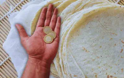 Tortilla a 33 pesos: Mapa nacional revela disparidad extrema en precios del alimento básico