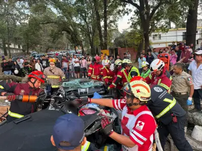 Tres muertos y tres heridos por caída de árbol en carretera México-Cuernavaca
