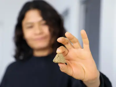 UAQ innova con harina de sargazo para salud digestiva y frijol como análogo de queso