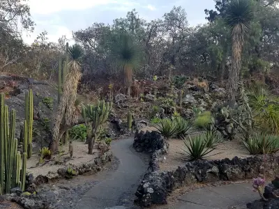 UNAM celebra XXI Día Nacional de Jardines Botánicos con fiesta de las plantas