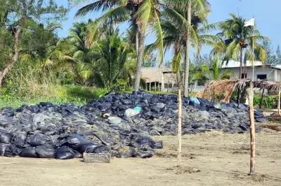 Veracruz: Recogen chapopote pero lo abandonan en bolsas, denuncian contaminación