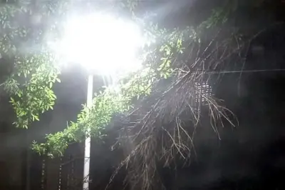 Vuelve la luz a vecinos del centro tras siete horas de apagón