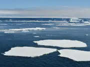 Aguas cálidas amenazan plataformas de hielo antárticas desde abajo