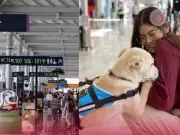 AIFA cumple 4 años entre polémica y crecimiento: Sheinbaum defiende afluencia récord