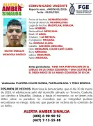 Alerta Amber en Mazatlán por adolescente de Torreón desaparecido en ruta