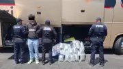 Aseguran 23 kilos de marihuana en maletas de pasajero en autobús de Guanajuato