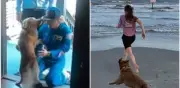 Astronauta Christina Koch comparte emotivo reencuentro con su perro tras misión Artemis II