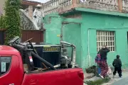 Ataque masivo de abejas en funeral de Galeana deja 12 heridos