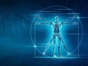 Atlas 3D Revoluciona el Estudio de la Anatomía Humana con Imágenes Microscópicas