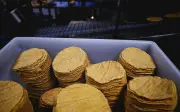 Aumento en el precio de la tortilla en México: Conflicto entre productores y gobierno