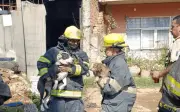 Bomberos de Tonalá rescatan a cinco perros atrapados en incendio en vivienda