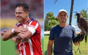 Chicharito insinúa que no está retirado y causa revuelo en TikTok