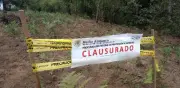 Clausuran predios en Edomex por cambio ilegal de uso de suelo forestal