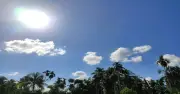 Clima en Chimalhuacán: sábado soleado sin lluvia, máxima 29°C