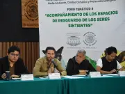 Congreso CDMX avanza en Ley de Albergues Animales tras foro con rescatistas