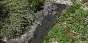 Contaminación del río Tijuana afecta salud en México y EE.UU.